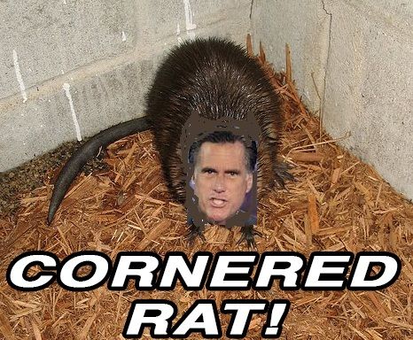 mitt-rat-3