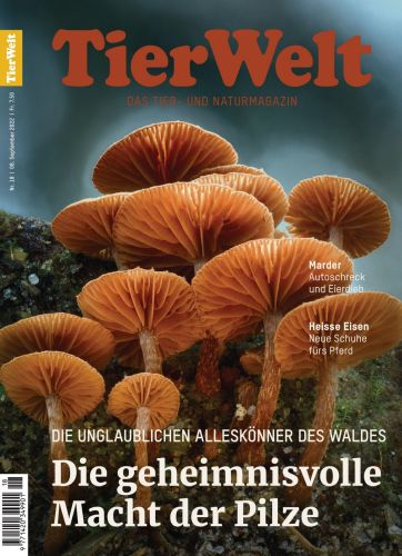 Cover: TierWelt Magazin No 18 September 2022