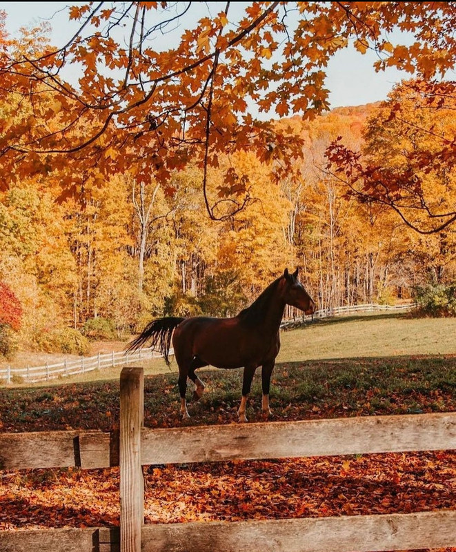 Screenshot_20231206_221600_Instagram