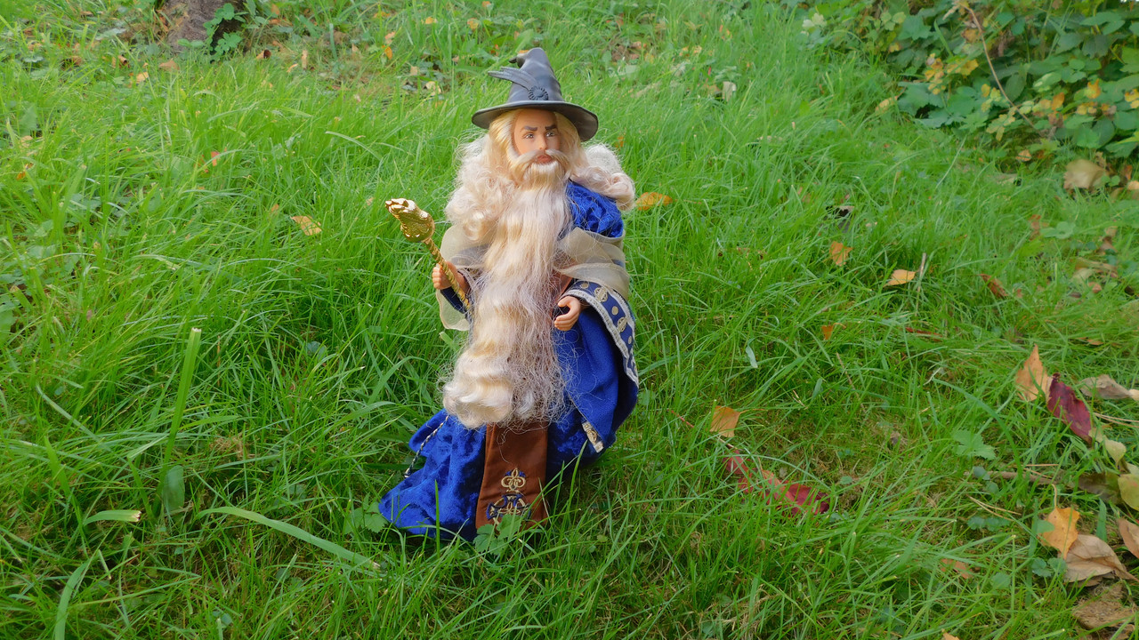 Осенне дачное-Мерлинское 024