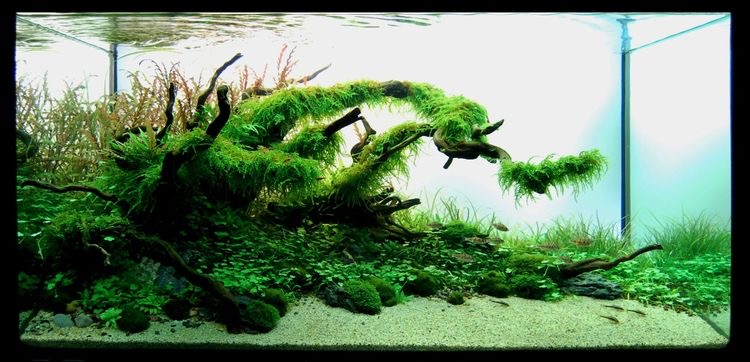 E347304E-6295-4C5C-A595-3DB20A1C6CDE