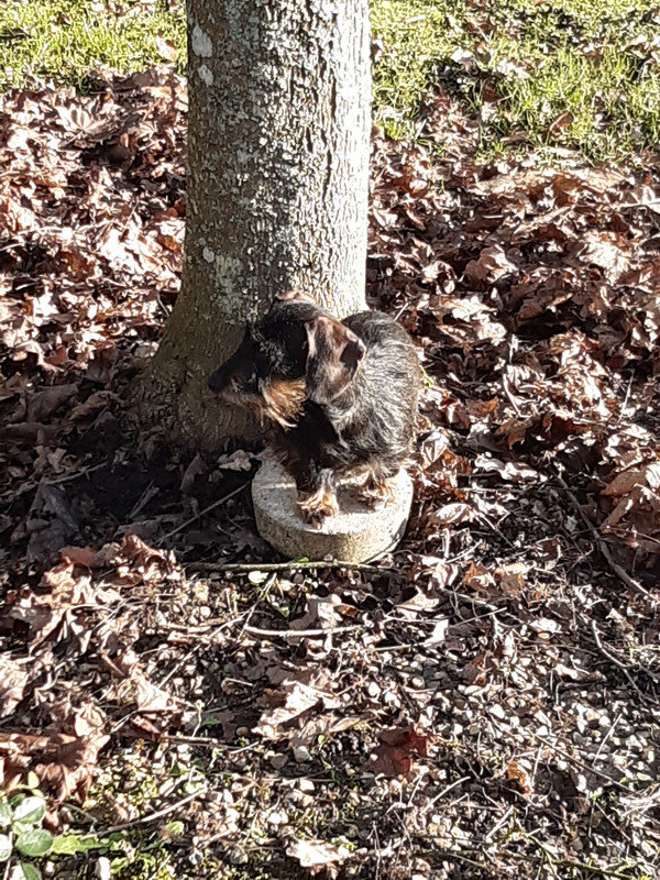 [Image: 20230120-152016.jpg]