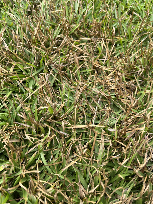 927BD7B3-5A68-4EE2-B88C-7CD4D2873E13