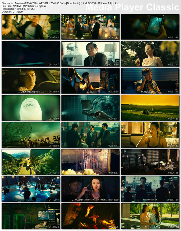 Ameera (2014) 720p Thumbs