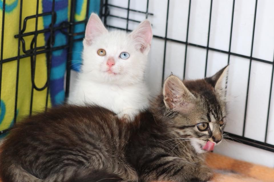 3B8EB7AA-CA89-4AA8-A8D1-2947109F9558