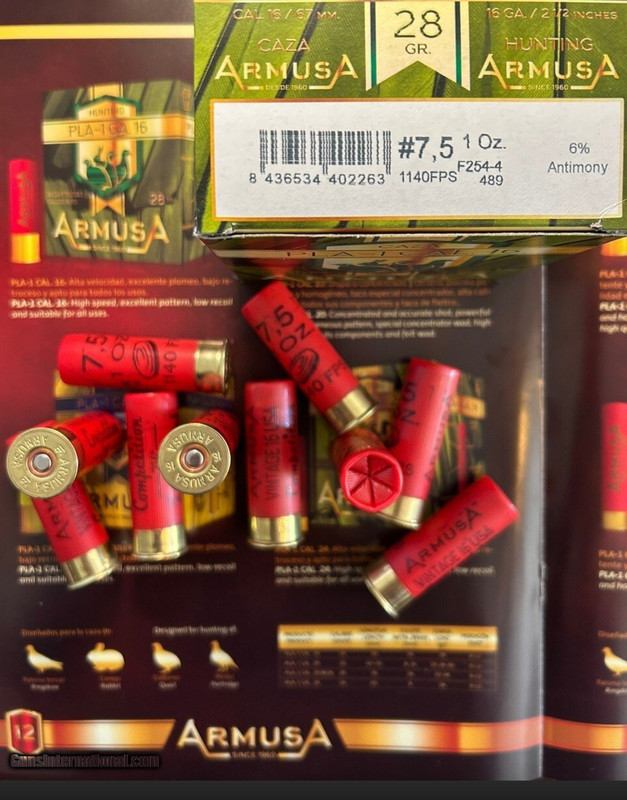 [Linked Image from i.postimg.cc]