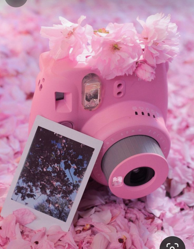 Screenshot_20240331_203318_Pinterest