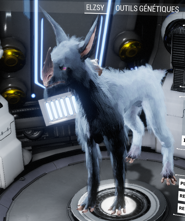 elzsykubrow2019.png