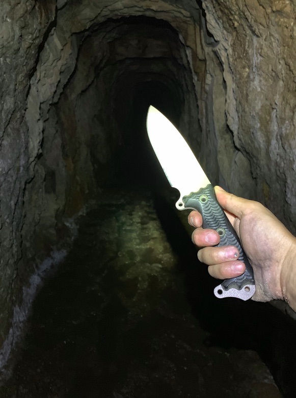 d4.jpg