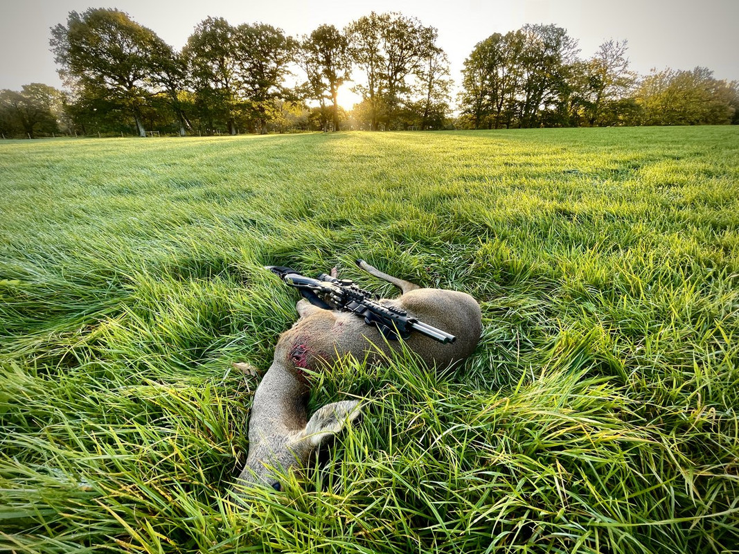 CB88FB9D-F157-4BC6-832C-96ACEE95C890