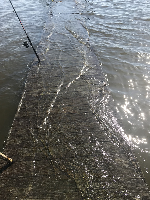 6DF01F46-66D6-4A57-91DB-84BFD5A75F2A