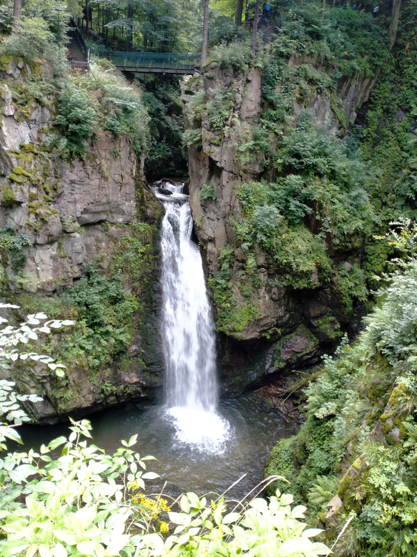 018 - IMG20210802132650