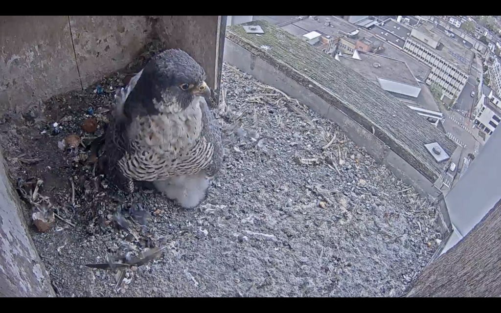 Schermafbeelding 2022-04-14 om 15.12.49