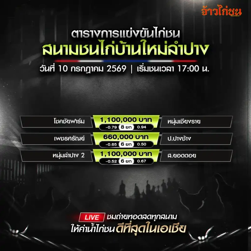 โปรแกรมไก่ชน สนามชนไก่บ้านใหม่ลำปาง วันที่ 10 กรกฎาคม 2569 ตารางคู่ชนครบทุกคู่