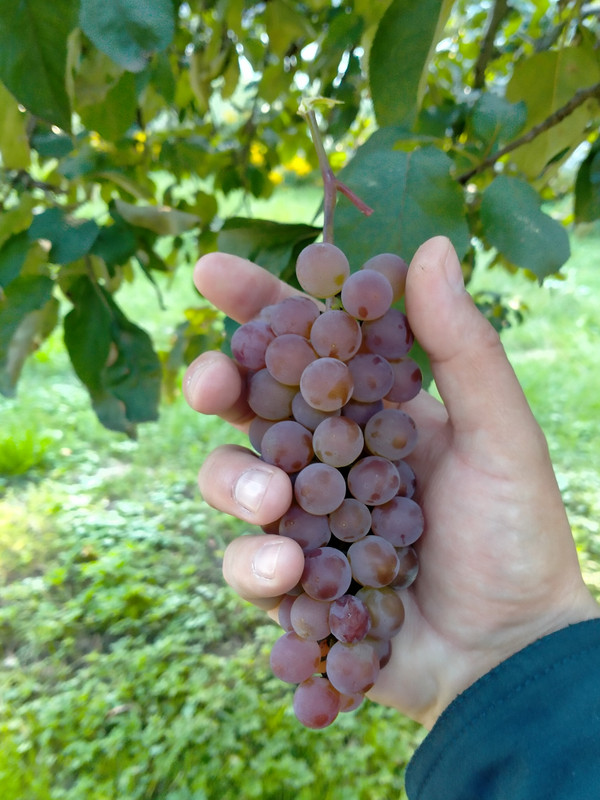 008 - IMG20210904160602