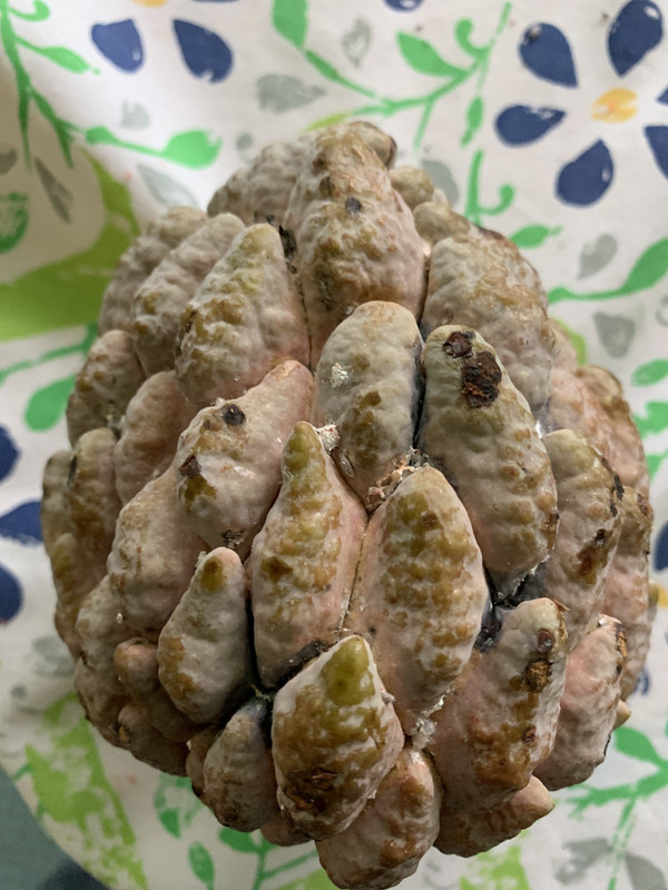 9FC724BC-7395-47E7-9468-0EA85BD84589