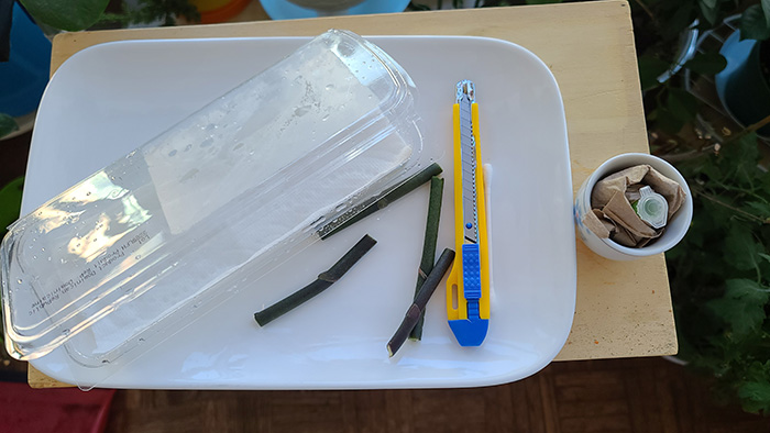 [Image: 20221204-143212.jpg]