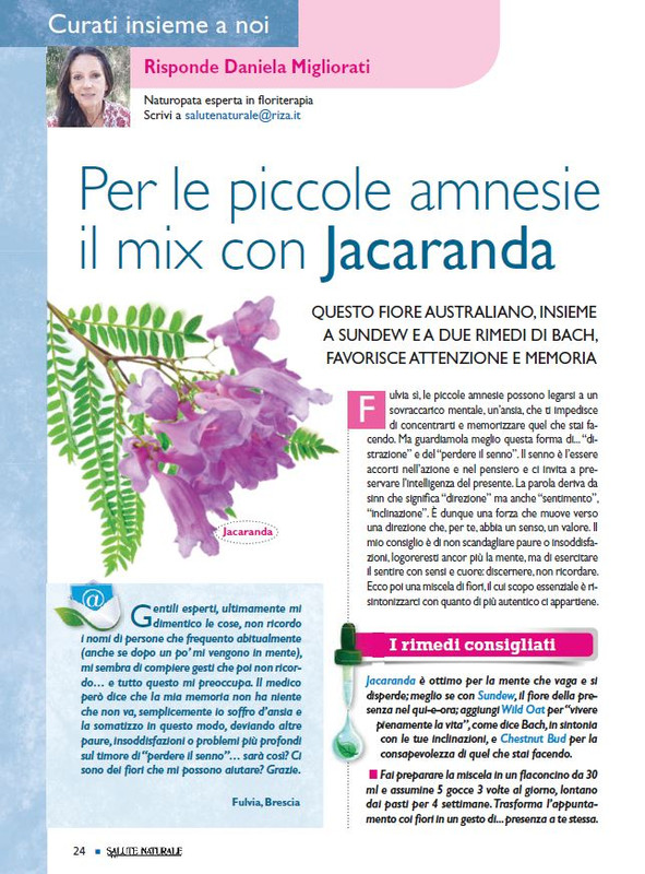 Sal Nat Set 2021 (4)