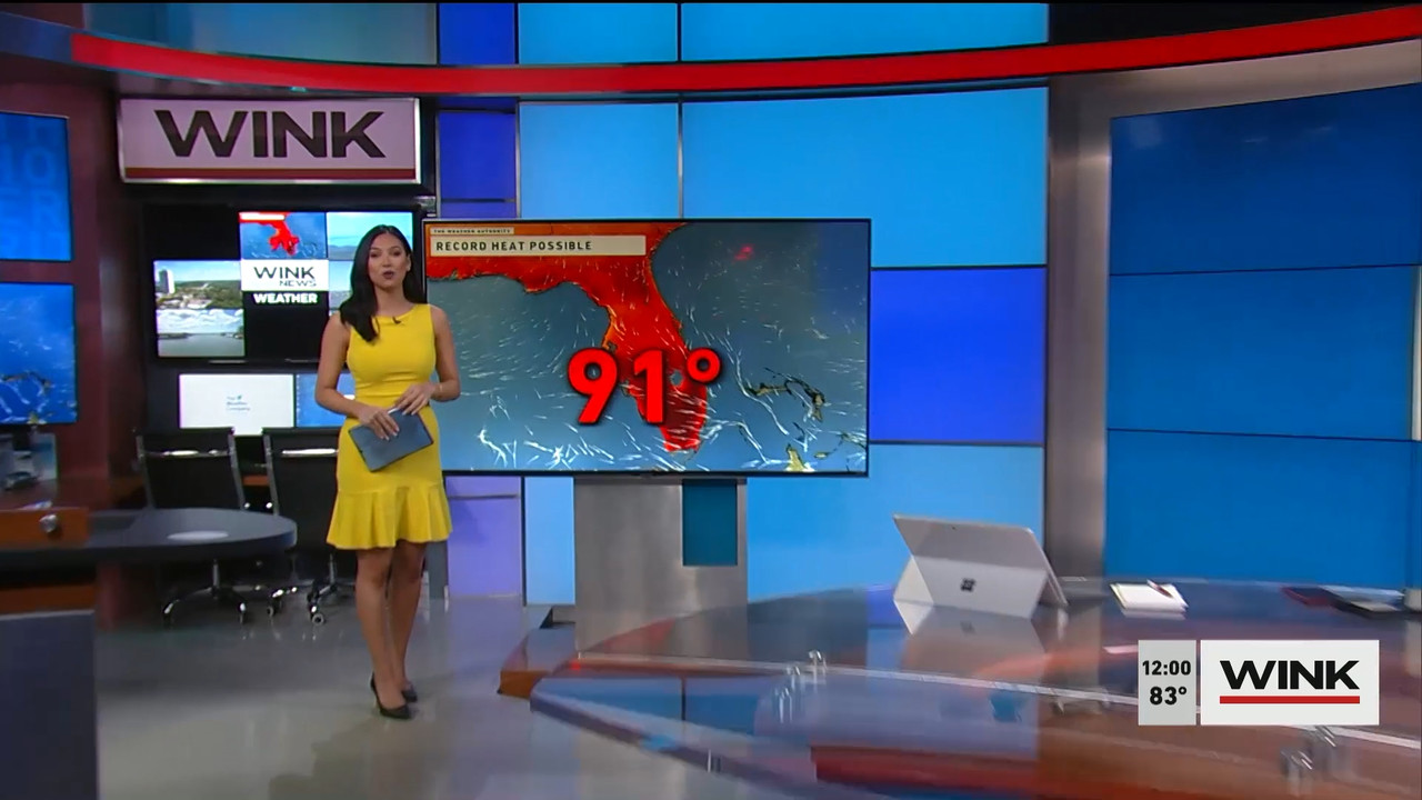 The WINK Noon News 2022_03_30_17_00_00.ts_snapshot_03.18.633