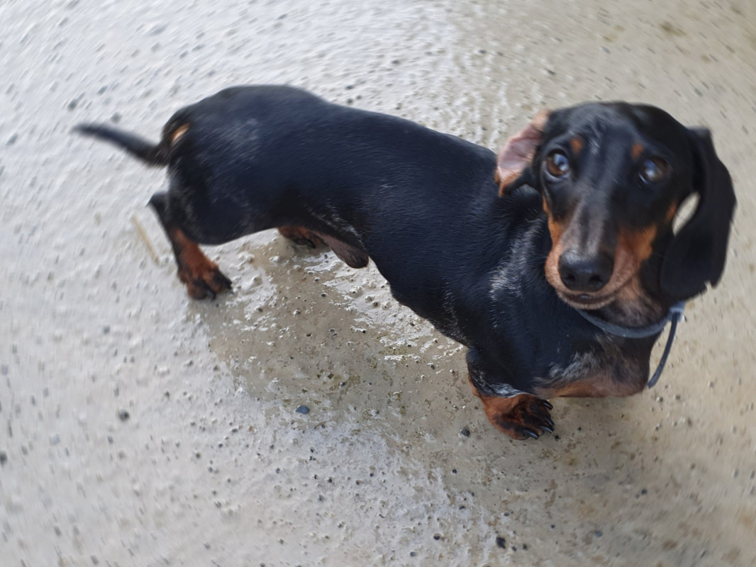 [Image: 20221025-114523.jpg]