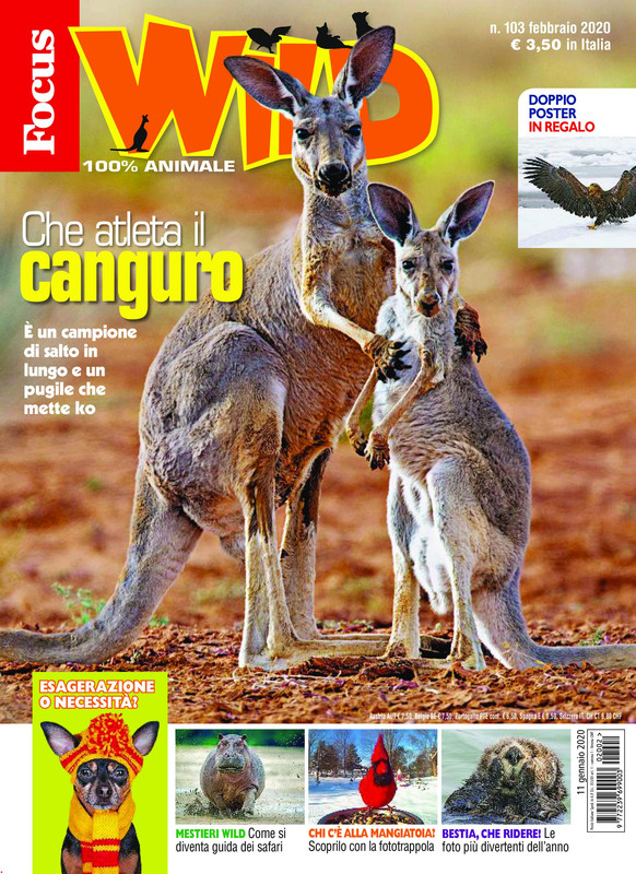 Focus Wild - Febbraio 2020