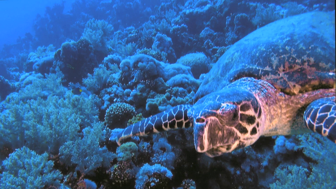 vlcsnap-2023-12-21-21h59m47s983