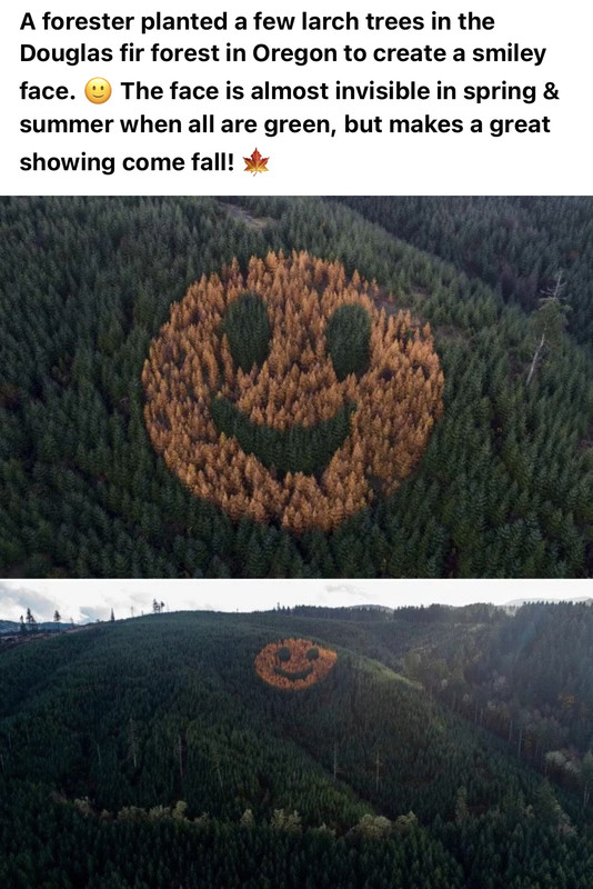 9501C668-4FAD-4580-B102-FB76031523C5