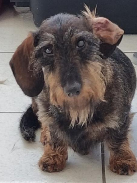 [Image: 20221026-210040.jpg]