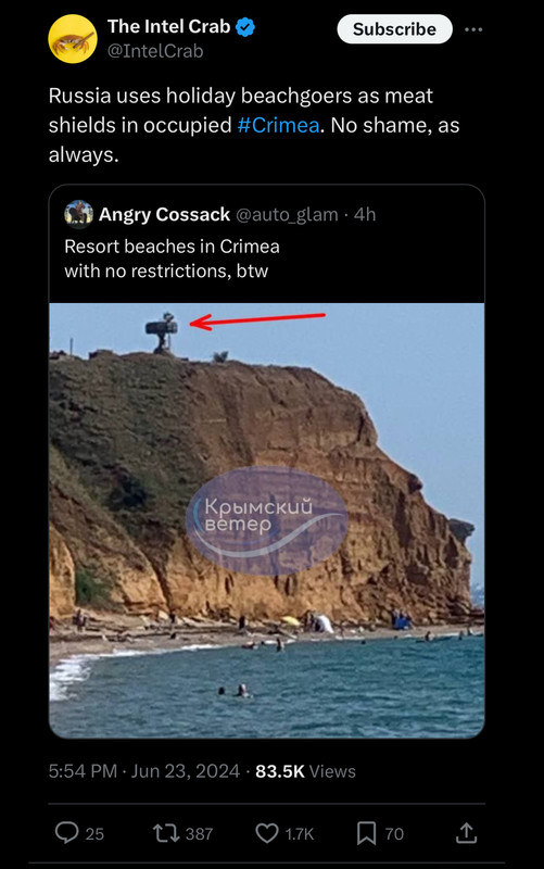 Russia-uses-holiday-beachgoers-as-meat-shields-in-occupied-Crimea.jpg