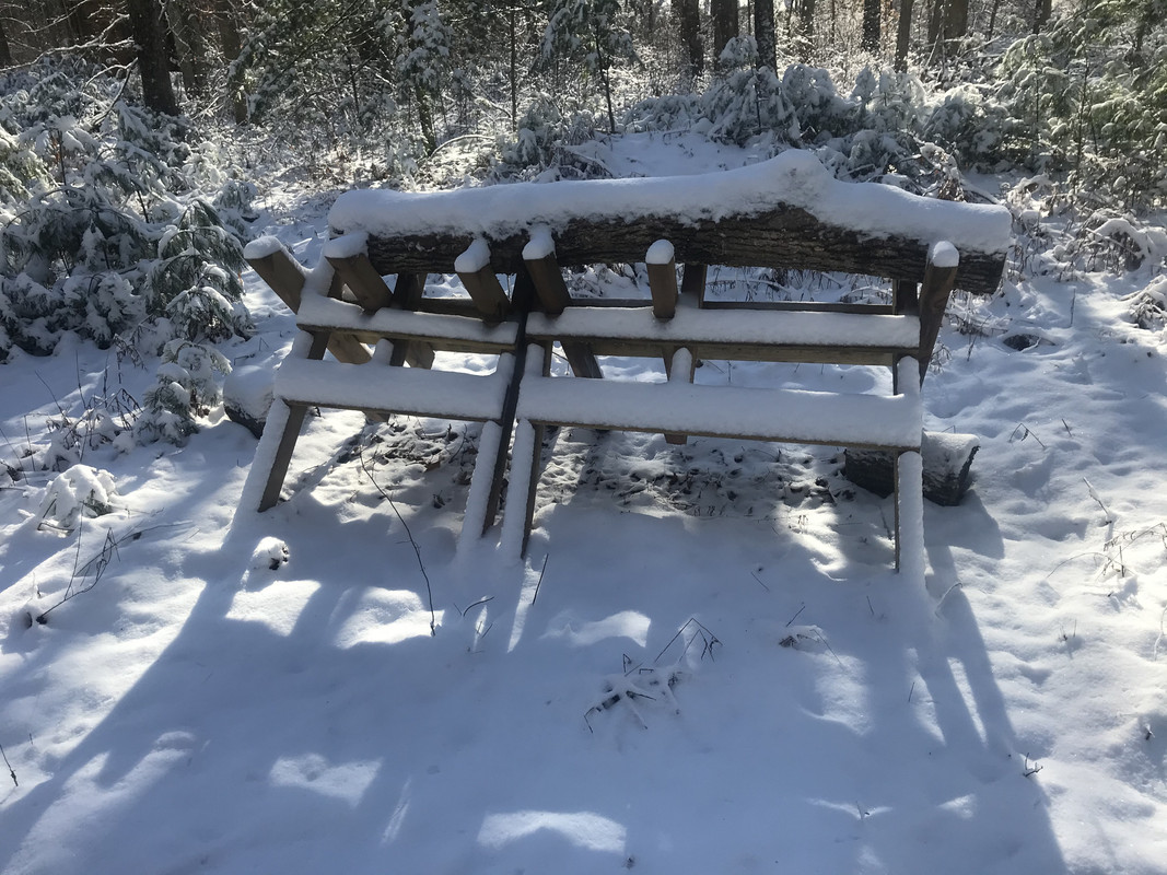 C032EE61-09A3-488C-9597-19A414C7BF01