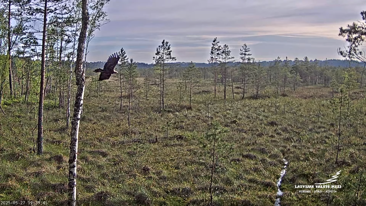 LVM Purvs - Bog 10-39-42 screenshot (1)