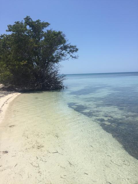 Y por fin: ¡CUBA! - Blogs de Cuba - Día 9: Trinidad (Cayo Iguana) (4)