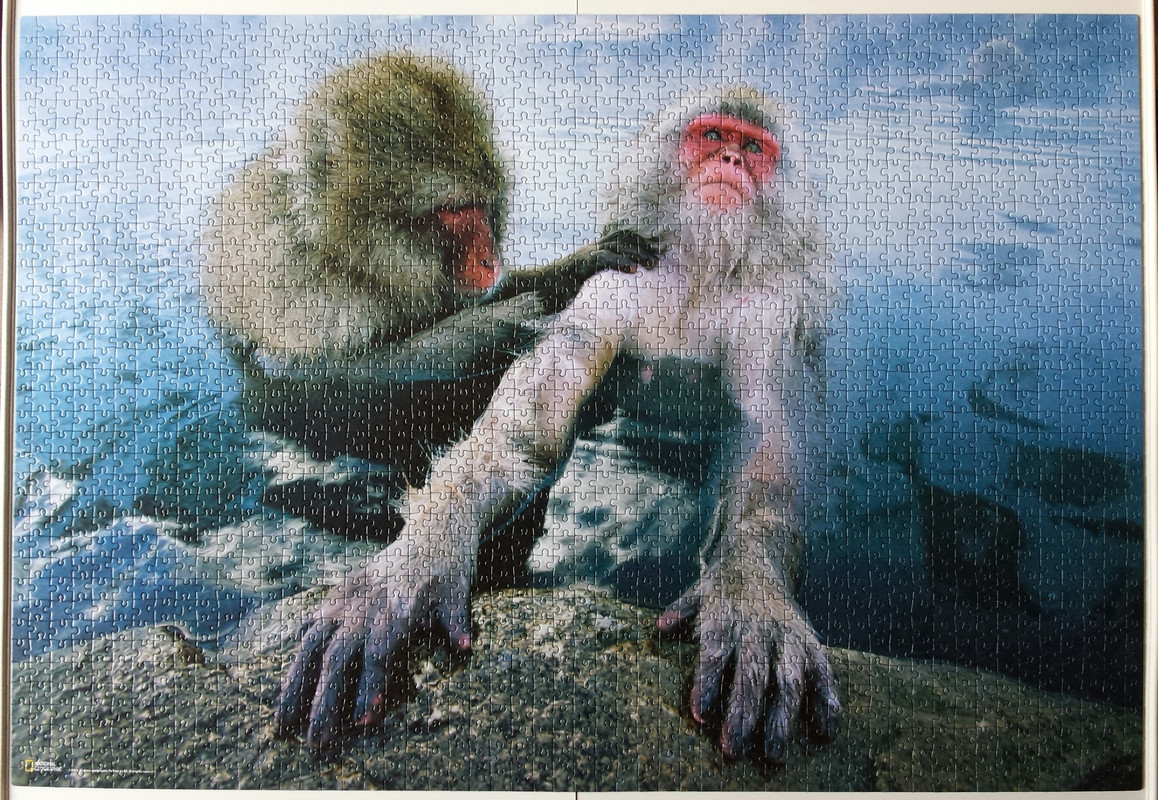 20170124_122549(0)-1