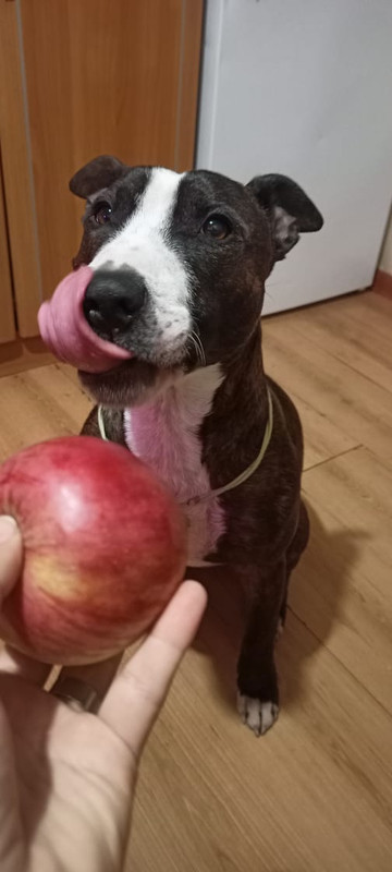 A53D7489-C6A9-4A77-99A2-002C8BEE8BE0