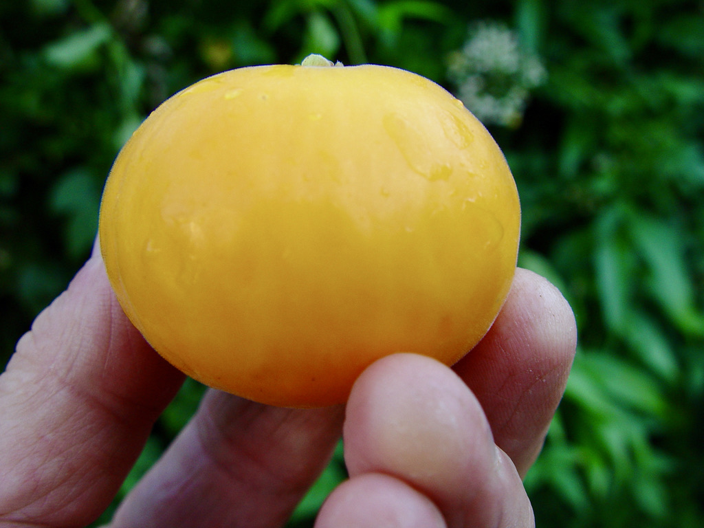 01154603-83CA-4C62-99AB-D6A9DA41CC5A_1_105_c