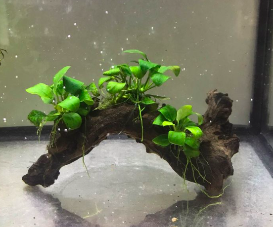 Capture d’écran 2023-08-05 à 18.29.37