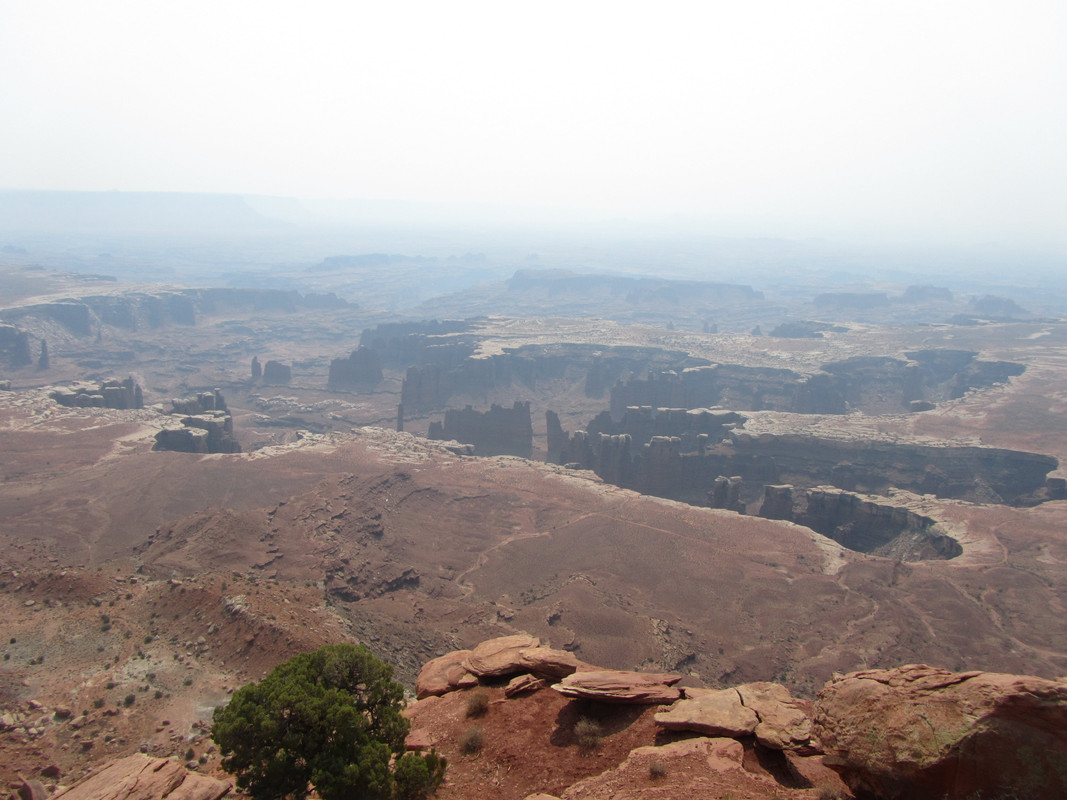 IMG_7750