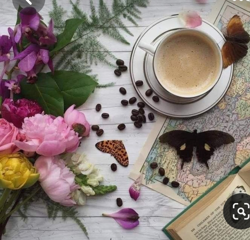 Screenshot_20230322_003352_Pinterest