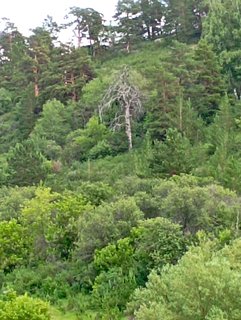 IMG-20220618-163616