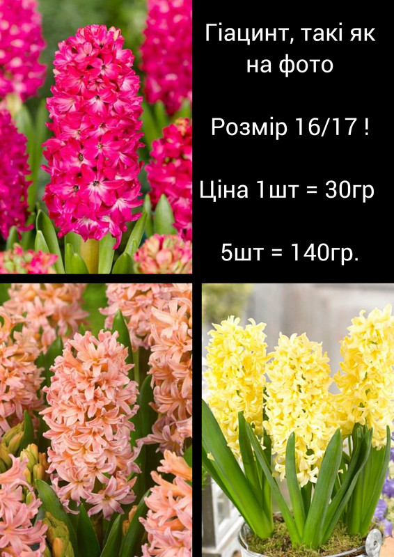 GridArt_20230810_094852842