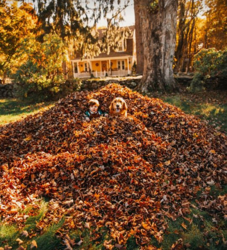 Screenshot_20231112_211742_Pinterest