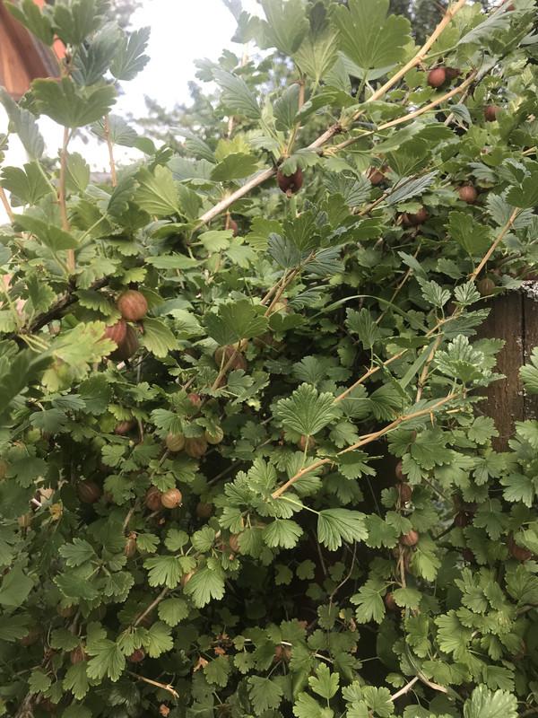 E996BCA4-10EF-47AA-8F50-9E85391058DF