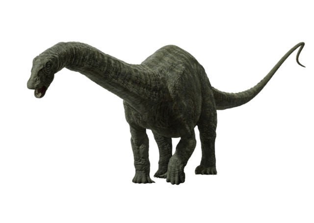 apatosaurus-by-hz-designs-dcfvexe-fullview