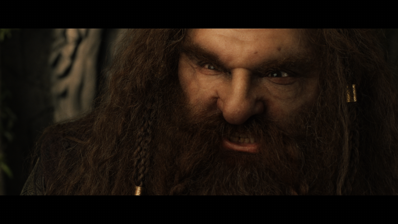 The Lord of the Rings- The Fellowship of the Ring (EXT.) PT. 1.mkv_snapshot_01.42.56_[2020.12.05_22.