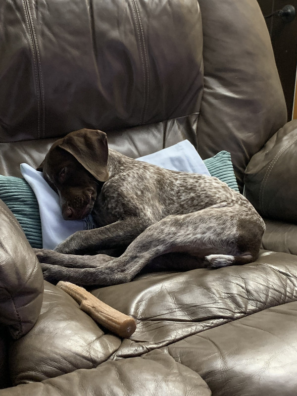 0F231AD1-34FB-47C0-938F-9F6B154273D8