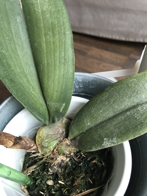 45006947-DB7C-489A-AD87-7E7BCCA0B4A8