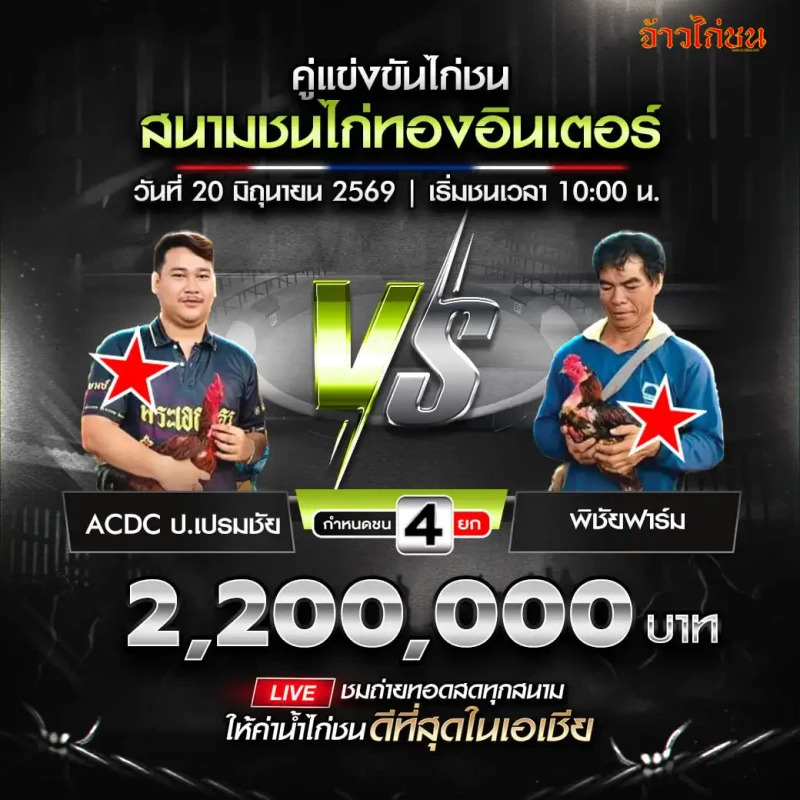 ACDC ป.เปรมชัย พบ พิชัยฟาร์ม โปรแกรมไก่ชน สนามชนไก่ทองอินเตอร์ 20 มิถุนายน