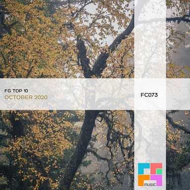 00-va-fg-top-10-october-2020-fc073a-web-2020.jpg