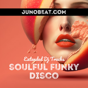 SOULFUL FUNKY DISCO Junobeat