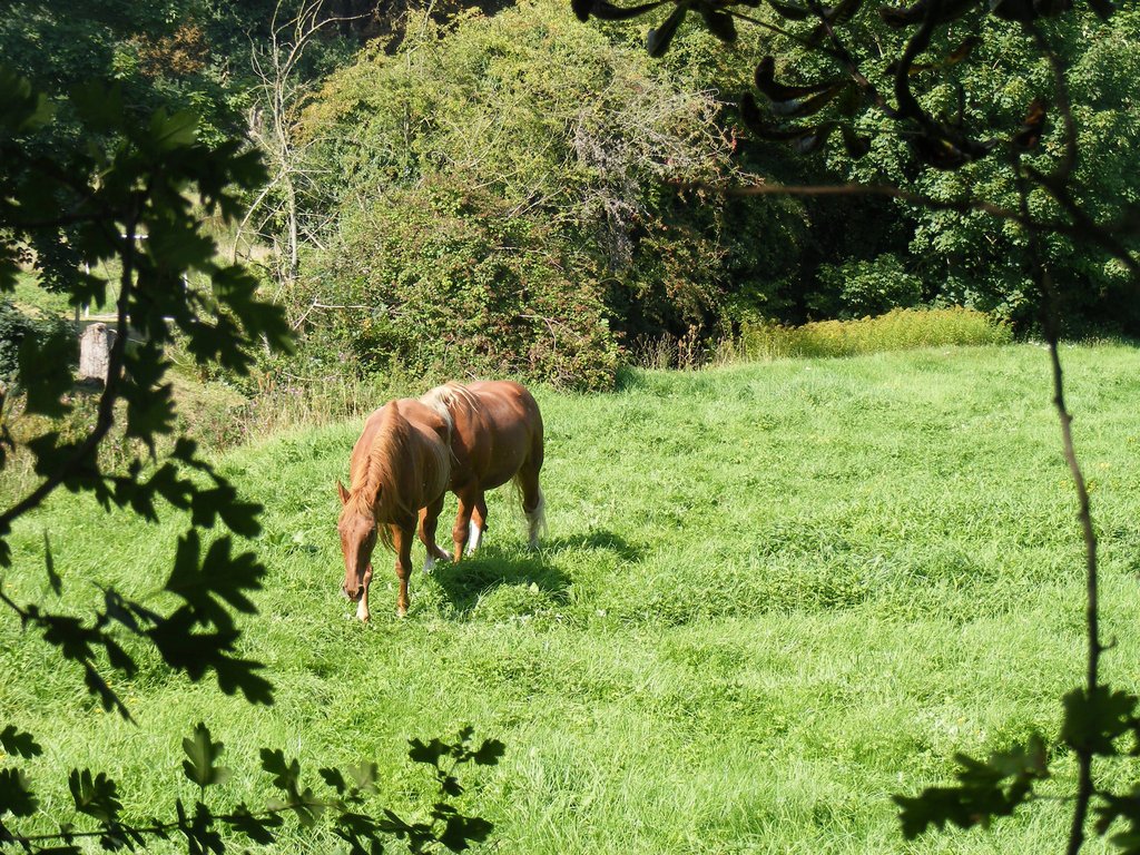 DSCF4293.jpg